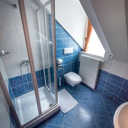 Hotel In Restavracija Pod Roglo 3*