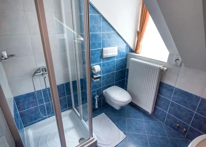 Hotel In Restavracija Pod Roglo 3*