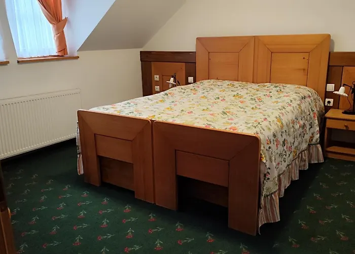 Hotel In Restavracija Pod Roglo 3*